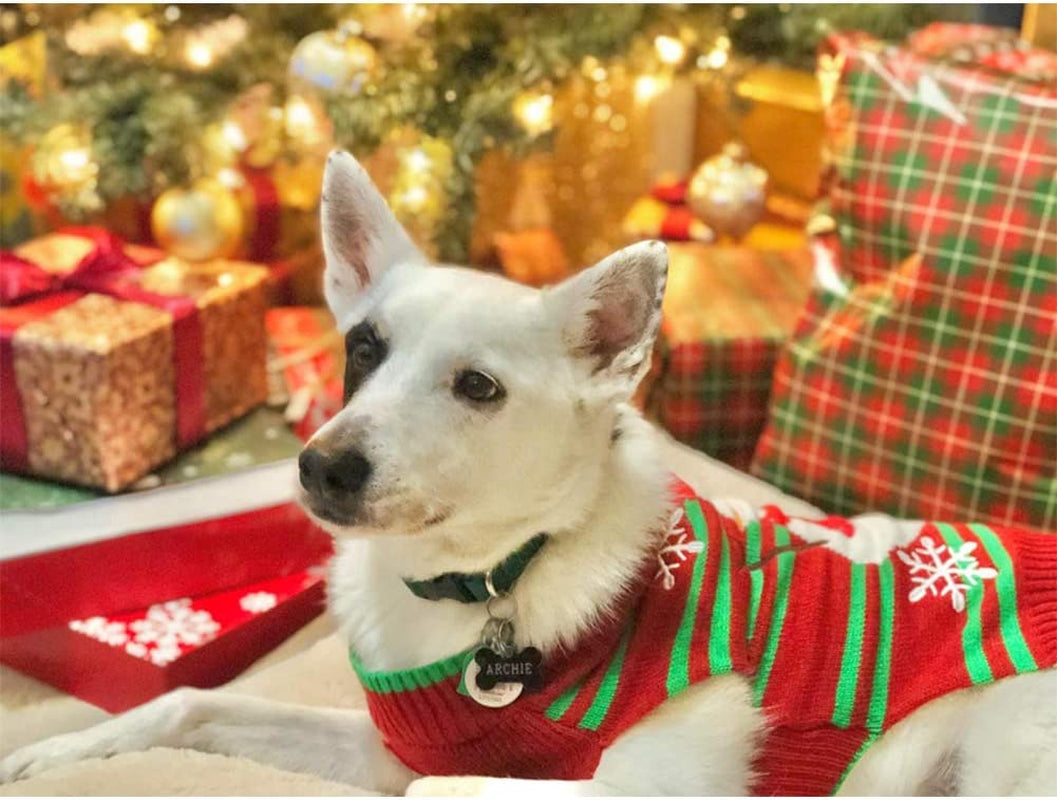 Christmas Snowman Sweater for Dogs and Cats